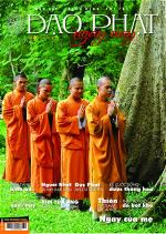 daophatngaynay8-bia