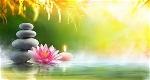 thien