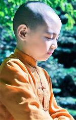 thuongtoavachutieu