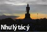 nhu-ly-tac-y