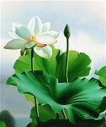 hoa-sen-tranh-theu