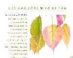 2021-luc-nao-cung-bo-de-tam-2-