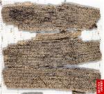 mot-ban-kinh-gandhara-co-tuoi-gan-2000-nam