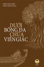 duoi-bong-da-chua-vien-giac
