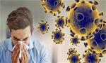 coronavirus