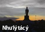 nhu-ly-tac-y