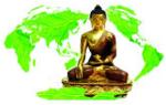 daophatvoimoitruong-165