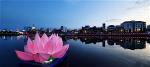 7-doa-sen-hong-kinh-mung-phat-dan-cua-phat-giao-tinh-binh-thuan