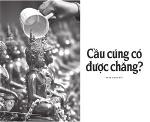 cau-cung-co-duoc-chang-300x243