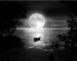 song-trang