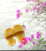 img-20180819-082036