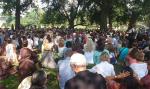 havard-thich-nhat-hanh