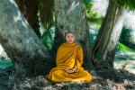 thich-giac-chinh-2