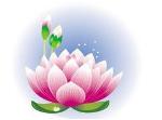 lotusflower-01