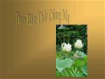 don-ban-tho-cung-me