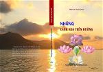 nhung-canh-hoa-tren-duong