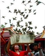 phongsinh2-jpg