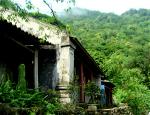 thapmotrannhantong-11