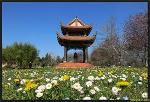 lang-mai