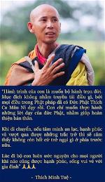 thich-minh-tue-02