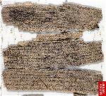 mot-ban-kinh-gandhara-co-tuoi-gan-2000-nam