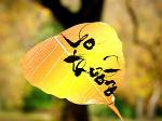 vo-thuong