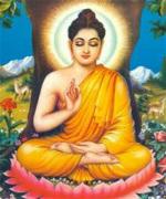 ducthichcathanhdao2-sm
