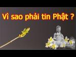 vi-sao-tin-phat