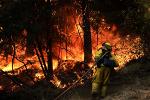 wood-valley-fire-02