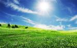 green-field