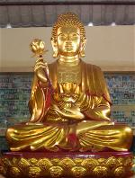 niem-hoa-vi-tieu