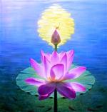 hoa-sen-painting