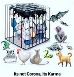 karma
