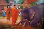 dp-voi-chien-tranh