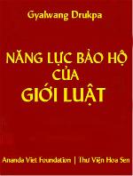 nang-luc-bao-ho-cua-gioi-luat