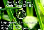 doi-la-coi-tam