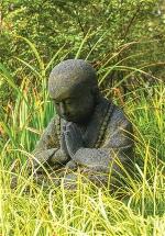 ngoi-thien-trong-rung