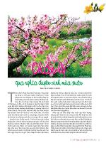 van-hoa-phat-giao-313-314-15-1-2019-page-07