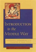 introduction-to-the-middle-way