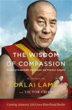 the-wisdom-of-forgiveness